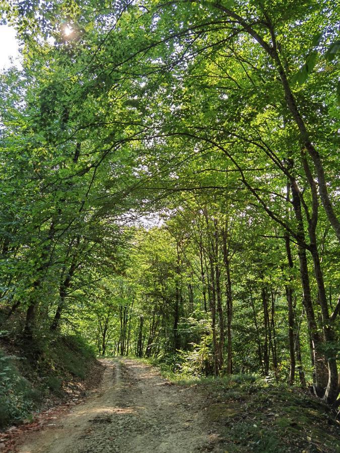 Les Hauts De Grazac, Chambres Et Tables D'Hotes Grazac  Экстерьер фото